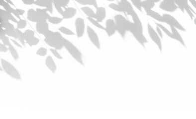 shadow overlay effects of realistic leaves and tree branch shadow on transparent png background,Summer sunlight and shadow overlay effect