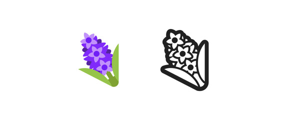 Hyacinth 