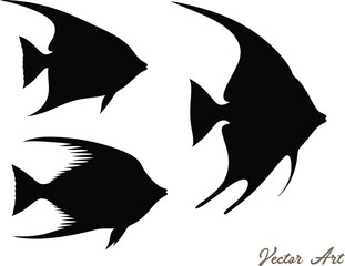 Set of angelfish vector silhouette, icon, illustration on a white background