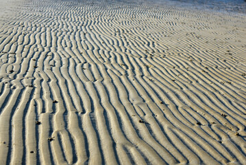 Saint-Malo, dessin naturel sur la plage
