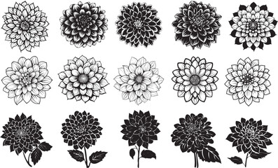 Dahlia flower icon linear black on white background --