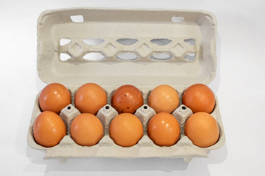 Cardboard egg box with brown eggs. Open egg box with ten brown eggs isolated on white background