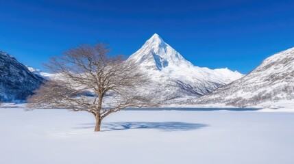 Fototapeta premium Snowy Mountain Landscape with Frozen Lake and Bare Tree