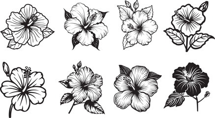 Obraz premium Hibiscus flower icon linear black on white background