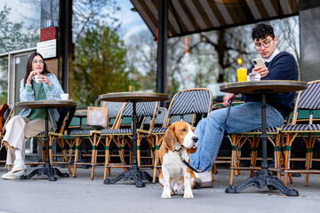 Young couple enjoying a drink at a Parisian outdoor cafe with their beagle dog sitting patiently...
