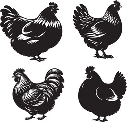 silhouette of clean vector of fat hen isolated