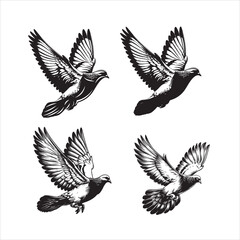 Obraz premium Pigeons flying vector