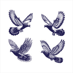 Obraz premium Pigeons flying vector