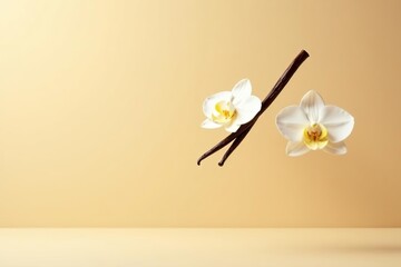 Flying vanilla sticks and orchid flowers floating gracefully in mid-air against a soft beige background, creating a dreamy and elegant aesthetic,  flying,  elegant