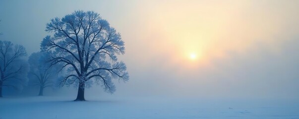 Frozen trees covered in a thick layer of fog with the sun breaking through, creating a mystical and serene atmosphere,  fog,  peaceful