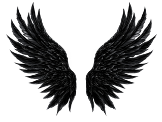 Abstract Black Wings Illustration Isolated On Transparent Background