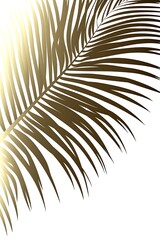 Obraz premium Elegant golden palm frond silhouette against a bright white backdrop