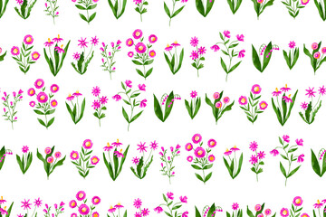 Blossom field wild flowers seamless pattern. Striped pattern Pink flowers, petal daisy blossom herbs. Hand drawn watercolor illustration. Repeated background