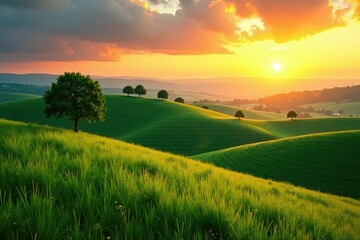 Green rolling hills and lone trees under the golden glow of a sunset in Marche near Ancona, Italy,  lone trees,  landscape