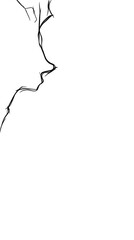 Abstract Illustration Of Dynamic Lines With White Color On Black Background