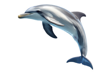 Fototapeta premium Realistic dolphin swimming isolated on transparent background