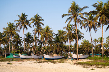 Boats on the Colva beach in Goa, South India, palm trees on tropical west coast, Arabian Sea in...