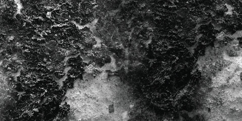 The way light interacts with the myriad of tiny facets on this textured surface creates a captivating sparkle and shimmer in monochrome.

