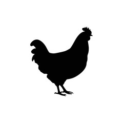 A black and white vector silhouette of a hen resting calmly with feathers puffed out on a white background