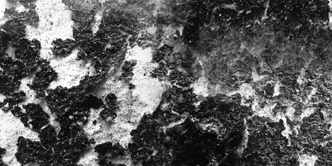 A visually striking and almost tactile close-up view of a surface that has been heavily marked, scarred, and weathered over time.
