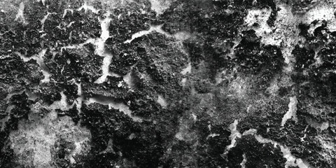 The subtle yet significant differences in texture and tonal value are brought to the forefront in this carefully observed grayscale image.
