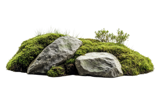 Moss Stone Art on transparent background