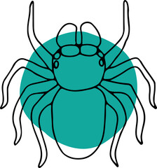 jumping spider with green round fill on background hand drawn with curved black lines contours, top view