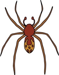 brown hobo spider with spots on abdomen hand drawn with curved black lines contours, top view