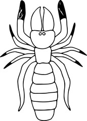 creepy spider solpuga camel spider hand drawn with curved black lines contours, top view