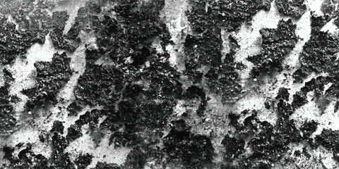 Obraz premium Evoking the timeless feeling of ancient stone or weathered rock through its deeply etched and irregularly textured surface, shown in monochrome. 