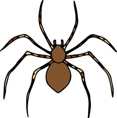 Obraz premium brown house spider hand drawn with curved black lines contours, top view