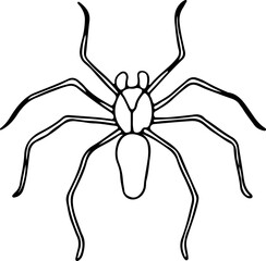 brown recluse spider hand drawn with curved black lines contours, top view