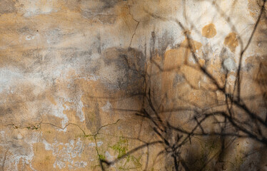 Dry branches cast eerie shadows on a cracked wall texture