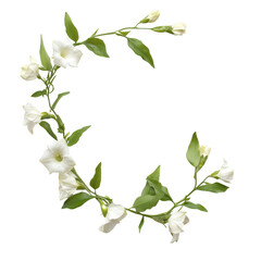 Fototapeta premium A delicate circular arrangement of white flowers with green leaves, showcasing elegant petals and natural beauty.