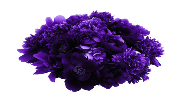 Elegant Purple Floral Arrangement Illustration Isolated On Transparent Black Background