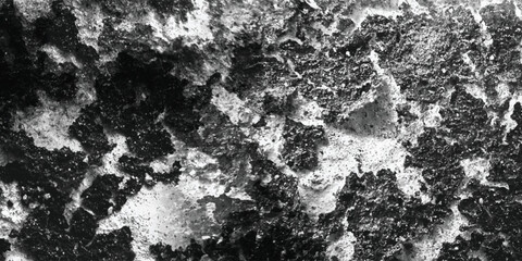 The intricate and fascinating world of surface texture is revealed in this detailed and sharply focused monochromatic image.
