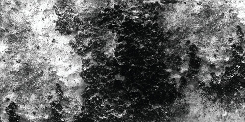 The evocative and almost palpable power of texture is beautifully captured in this striking black and white photograph, inviting tactile imagination.
