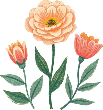 pastel watercolor flowers isolated on white. botanical gardeb floral illustration vector