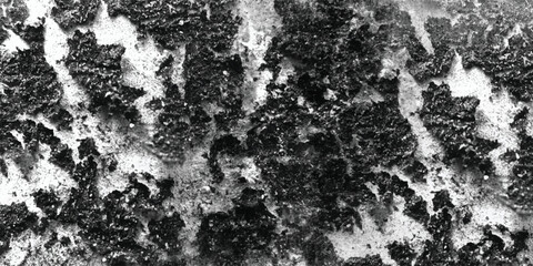 The rich and varied textures present on this surface are meticulously rendered in a detailed and evocative black and white image.
