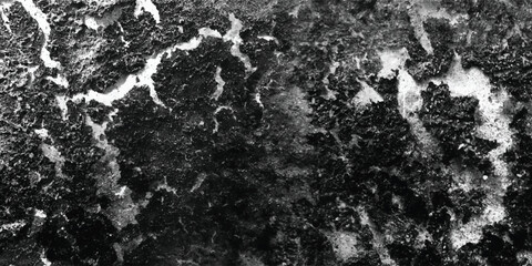 The rich and varied textures present on this surface are meticulously rendered in a detailed and evocative black and white image.
