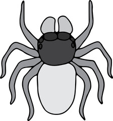 grey jumping spider hand drawn with curved black lines contours, top view