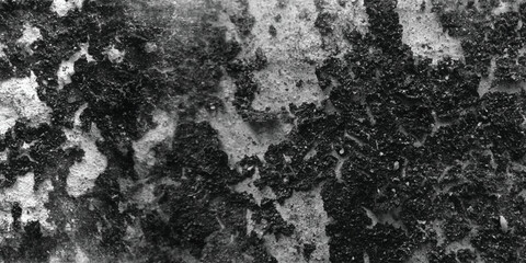 Obraz premium A carefully observed and thoughtfully composed study of the subtle variations in texture across an abstract surface in grayscale. 