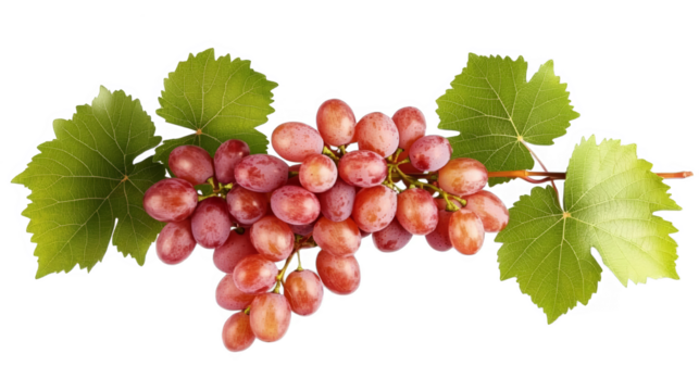 Isolated Photorealistic Red Grape Bunch With Green Leaves On Transparent Background