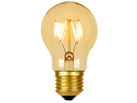 Lawn fireworks display outdoor celebration cutout background festive atmosphere nighttime viewpoint