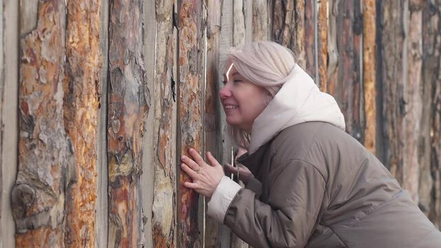 concept curiosity and peeping at someone else's private life, caucasian woman blonde 45 years old looking through a crack in a large wooden fence with a smile and expectation