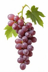 Fototapeta premium red grapes with green leaves
