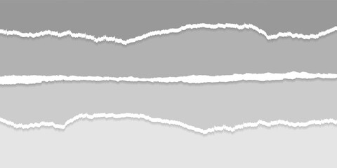Torn Paper Set Background Design Element or Divider