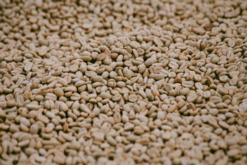 coffee beans, closeup, exported product from Brasil
