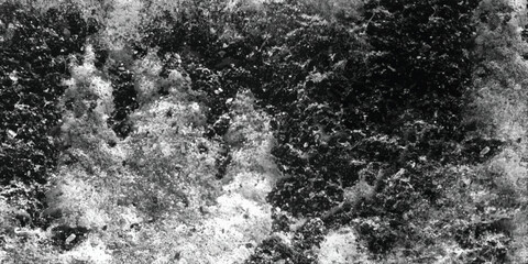 Obraz premium The sheer density and complexity of the texture are rendered with remarkable clarity in this detailed monochromatic photograph. 