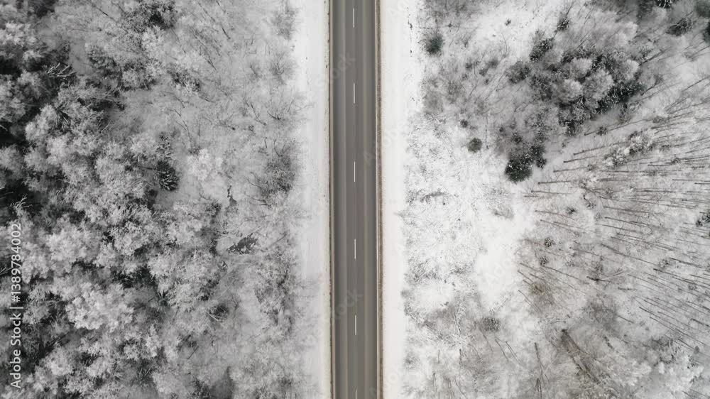 Poster aerial view of a highway through the forest in winter. top down drone view of a car driving in count